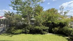 Seaside Park (D15), Semi-Detached #575856231